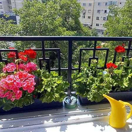33 Coquette Apartment Baia Mare Exterior photo