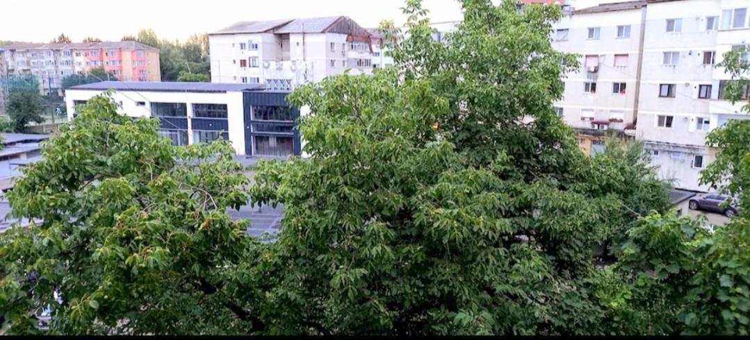 33 Coquette Apartment Baia Mare Exterior photo