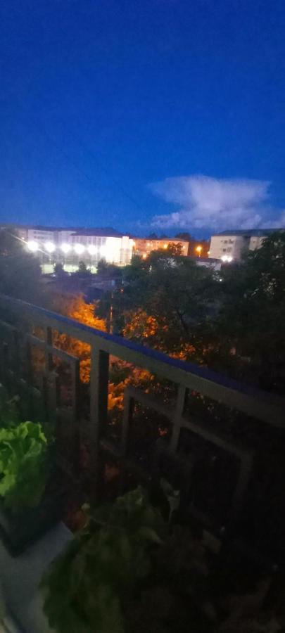 33 Coquette Apartment Baia Mare Exterior photo
