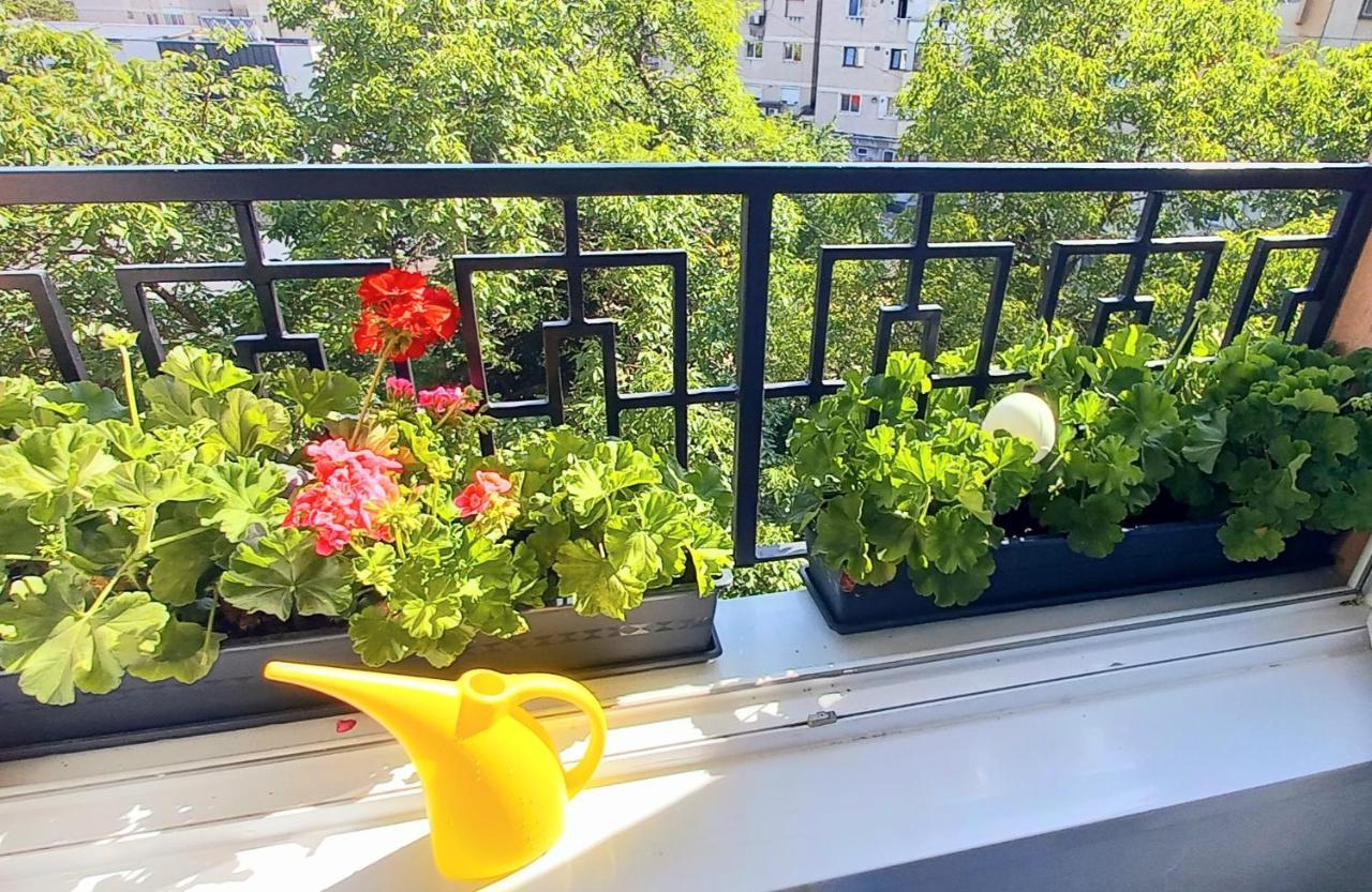 33 Coquette Apartment Baia Mare Exterior photo