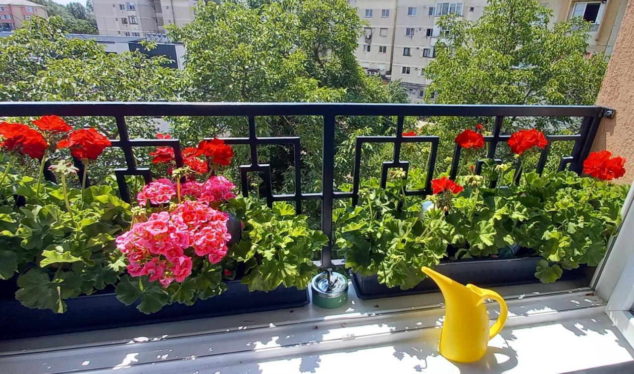 33 Coquette Apartment Baia Mare Exterior photo